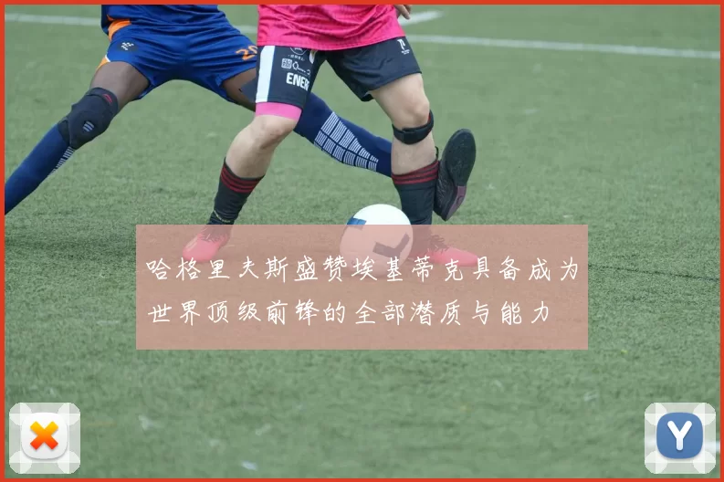 哈格里夫斯盛赞埃基蒂克具备成为世界顶级前锋的全部潜质与能力