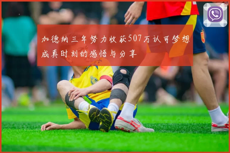 加德纳三年努力收获507万认可梦想成真时刻的感悟与分享